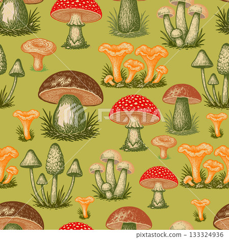 Seamless pattern mushroom background. Hand drawn. Not AI, vector illustration. 133324936