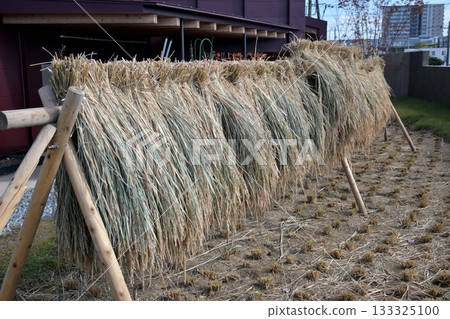 Rice racking (hasakake) 133325100