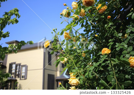 橫濱山手義大利花園內的外交官之家 133325426