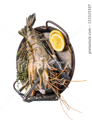 Closeup of raw rosenbergii shrimp prawn showcasing their vibrant color and texture, a must-have for culinary creations. isolated on white background. top view Closeup of raw rosenbergii shrimp prawn showcasing their vibrant color and texture, a must-have for culinary creations. isolated on white background. top view 133325597