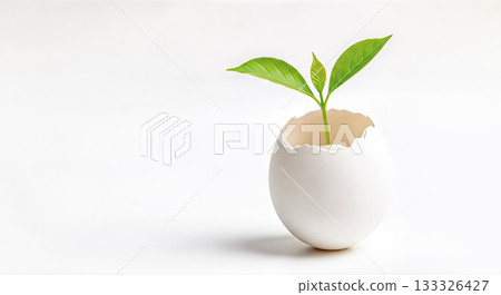 Small green plant sprout growing inside white egg shell concept new life beginning startup potential business incubator birth creative idea 133326427