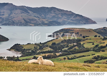Akaroa Harbour, New Zealand Akaroa Harbour, New Zealand 133326537