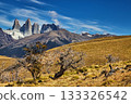 Torres del Paine, Patagonia, Chile 133326542