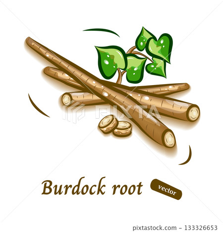 Burdock pop illustration | Cute vegetable vector material Burdock pop illustration | Cute vegetable vector material 133326653