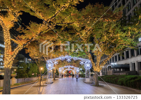 大阪中之島的聖誕燈飾 133326725