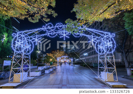 大阪中之島的聖誕燈飾 133326726