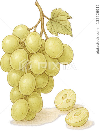 一幅線條柔和的插圖 133326912