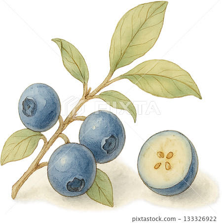 一幅線條柔和的插圖 133326922