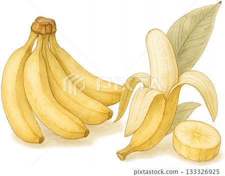 A subtle line drawing illustration 133326925