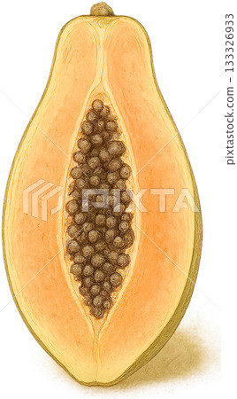 一幅線條柔和的插圖 133326933