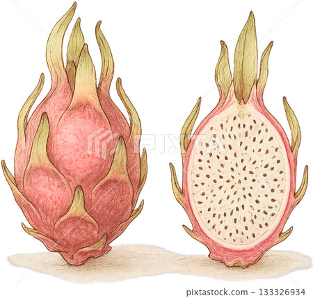 一幅線條柔和的插圖 一幅線條柔和的插圖 133326934