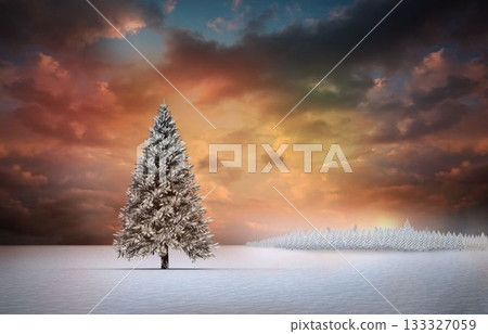 Fir tree in snowy landscape Fir tree in snowy landscape 133327059
