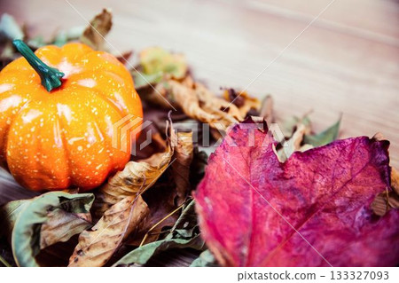 High angle view of pumpkins surrounded by leaves on table High angle view of pumpkins surrounded by leaves on table 133327093