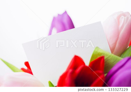 Blank white card is floating among multicolored tulip bouquet in flat design, copy space Blank white card is floating among multicolored tulip bouquet in flat design, copy space 133327229