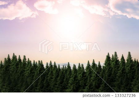 Fir tree forest in snowy land Fir tree forest in snowy land 133327236