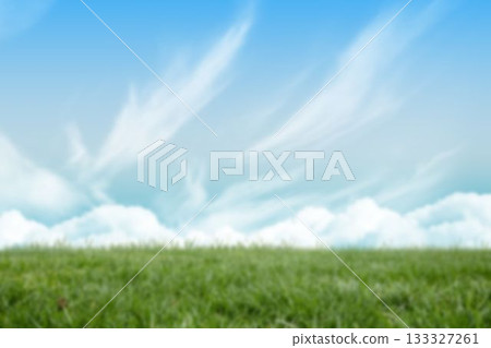 Idyllic shot of grassy land 133327261