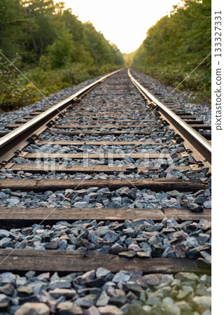 Railway track in the forest Railway track in the forest 133327331