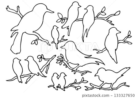 棲息在樹枝上的鳥的輪廓和線條畫 | 自然與野生動物設計素材 棲息在樹枝上的鳥的輪廓和線條畫 | 自然與野生動物設計素材 133327650