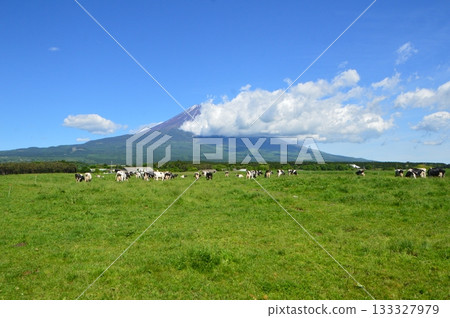 高原山/富士山的農場（早上鄰里/靜岡縣富士宮市） 133327979