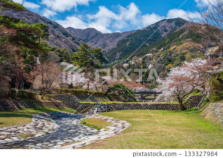養老公園的櫻花（岐阜縣養老郡養老町） 133327984