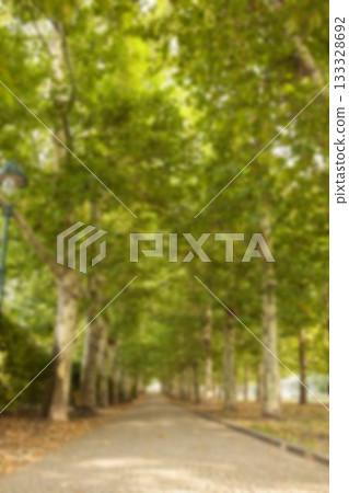 Narrow road amidst trees in forest 133328692