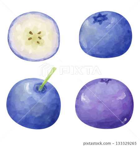 藍莓籽粒和切面的水彩插圖 133329265