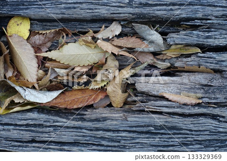 落葉聚集在雪堆裡 133329369