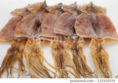 Squid Squid 133329376