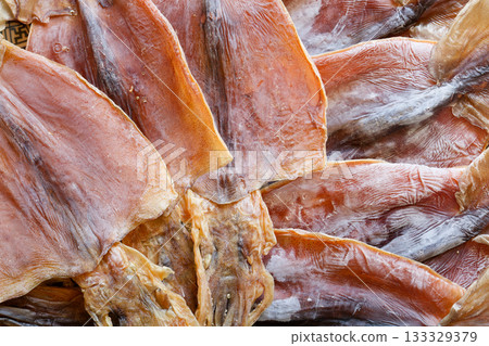  Squid 133329379
