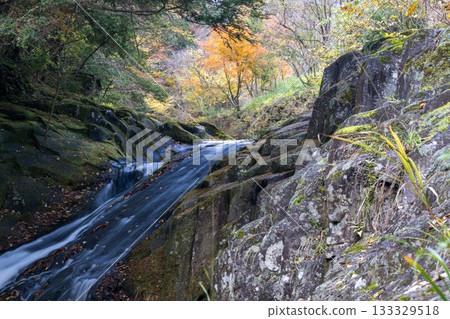 A waterfall with a view of autumn leaves that connects to the Kikuchi Valley, where a clear stream flows through nature 133329518
