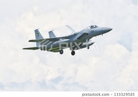 306th Squadron F-15J preparing to land 133329585