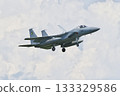 306th Squadron F-15J preparing to land 133329586