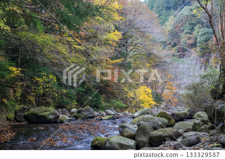 A waterfall with a view of autumn leaves that connects to the Kikuchi Valley, where a clear stream flows through nature A waterfall with a view of autumn leaves that connects to the Kikuchi Valley, where a clear stream flows through nature 133329587