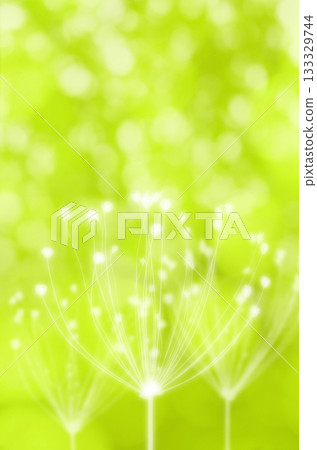 Sparkling flower art drawn with "Androsacea" flowers that spread like fireworks 133329744