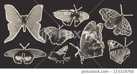 Halftone butterfly collage in grunge vintage style Halftone butterfly collage in grunge vintage style 133329768