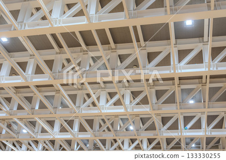 Steel frame of gymnasium ceiling 133330255