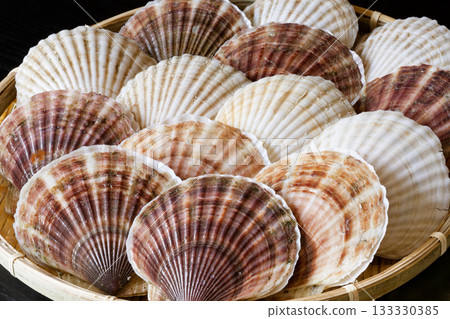 Live Hokkaido scallops 133330385