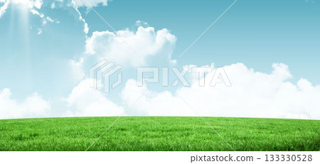Wide grass field is unfolding in flat design illustration, with sunlight rays and fluffy clouds Wide grass field is unfolding in flat design illustration, with sunlight rays and fluffy clouds 133330528