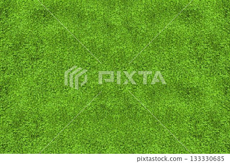 flat design graphic showing dense bright green turf grass covering frame in overcast lighting flat design graphic showing dense bright green turf grass covering frame in overcast lighting 133330685