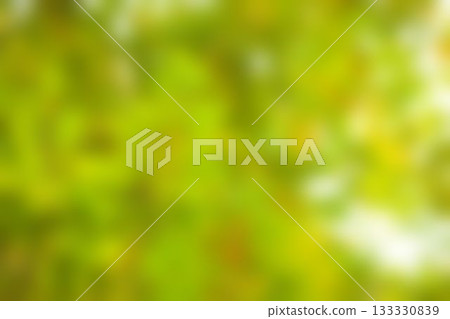 Blurry of autumn trees on a sunny day 133330839