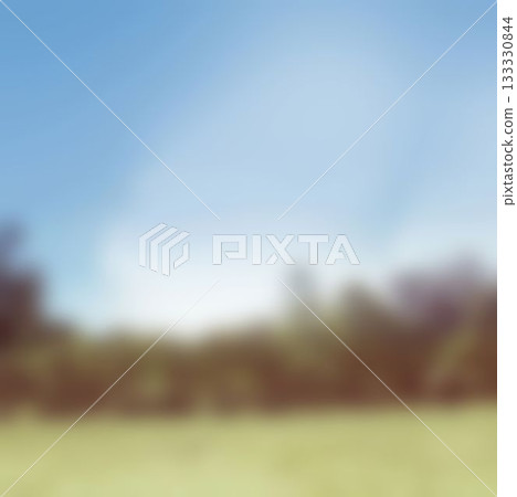 Blurry park on a sunny day Blurry park on a sunny day 133330844