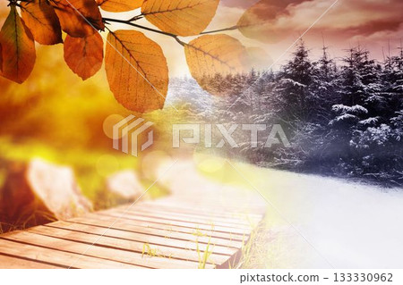 Autumn changing to winter 133330962
