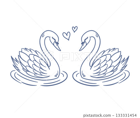 Romantic swans in love. Two swans are facing each other. Outline drawing. Sketch. 133331454