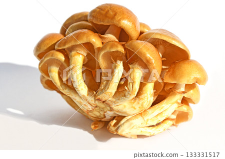 Mushrooms (large nameko mushrooms) 133331517