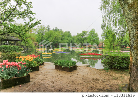 礪波鬱金香公園 礪波鬱金香公園 133331639