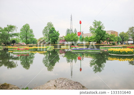 礪波鬱金香公園 礪波鬱金香公園 133331640