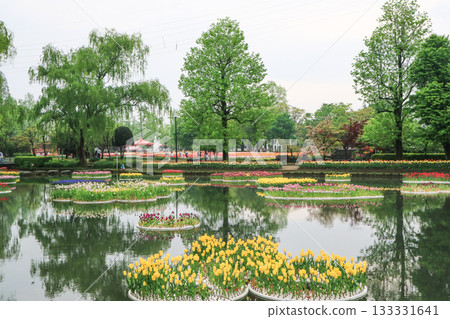 Tonami Tulip Park 133331641