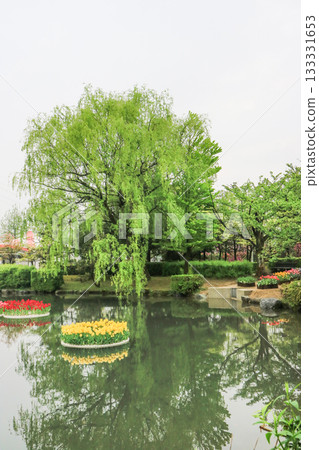 Tonami Tulip Park 133331653