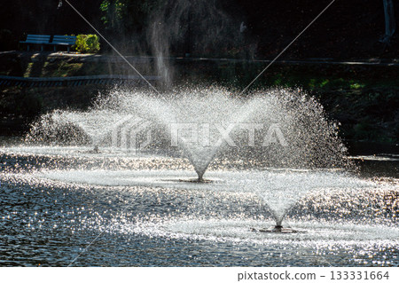 Magnificent fountain in the middle of the river.  Dobele, Latvia. 133331664