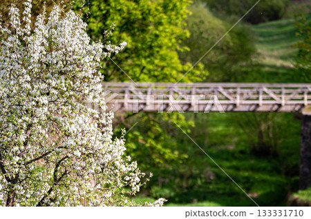 Wooden pedestrian bridge over ravine, selective focus, focus on foreground Wooden pedestrian bridge over ravine, selective focus, focus on foreground 133331710